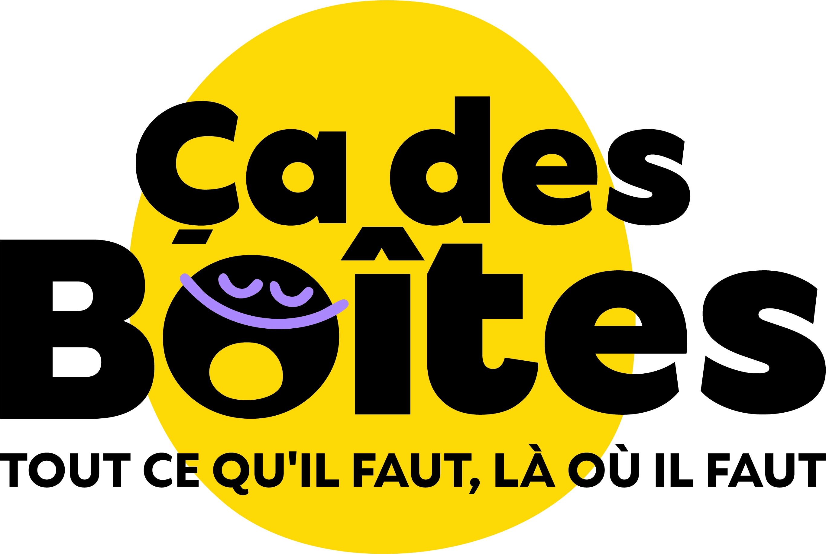Logo ca des boites